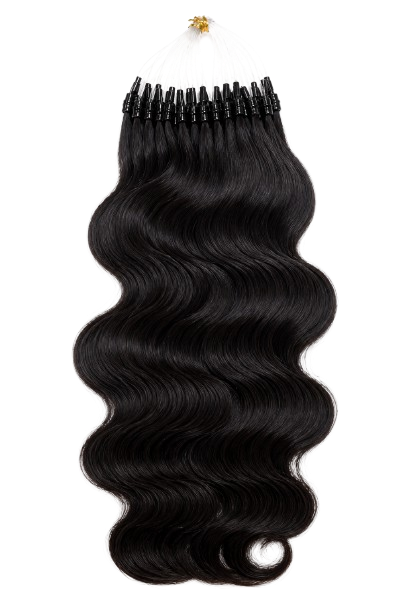 Microlink Bodywave